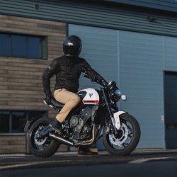 Oxford Chino MS Sand