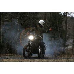 Roeg Shawn Stripe Sweatshirt Army/Black UNISEX