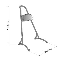 Wild Sissy Bar med pude, HD Sportster, sort eller chrom